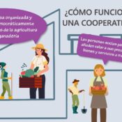 como_funciona_cooperativa